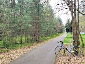Bicycle, Tree, Bicycle Wheel
