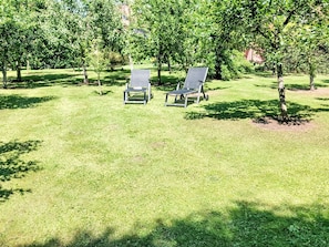 Plante, Communauté Des Plantes, Vertébré, Arbre, Paysage Naturel, Ombre, Lot Terre, Végétation, Mobilier De Jardin