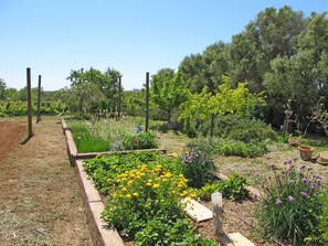 Garten, Vegetation, Pflanzengemeinschaft, Natürliche Landschaft, Botanischer Garten, Eigentum, Pflanze, Botanik, Baum, Strauch