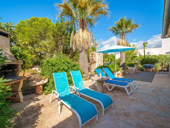 Plante, Ciel, Propriété, Meubles, Botanique, Bleu Azur, La Nature, Arbre, Mobilier De Jardin, Arecales