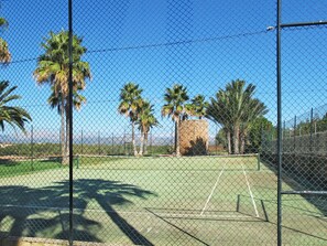 Tree, Chain-Link Fencing, Sport Venue, Palm Tree, Woody Plant, Arecales, Net, Line, Plant, Grass