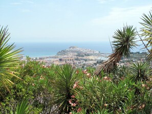 Ciel, Plante, Fleur, Nuage, Communauté Des Plantes, L'Eau, Terrestre Des Plantes, Paysage Naturel, Arbre, Arecales