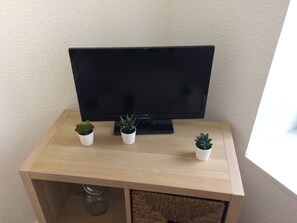 Fernseher
