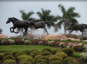 World famous Mustangs... our freedom horses welcome you to our community!