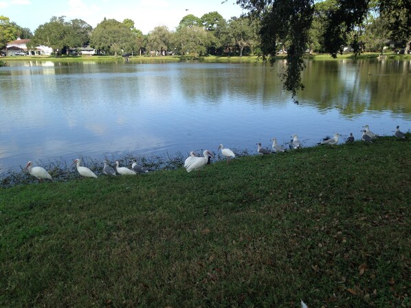 Lake