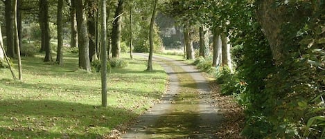 Jardines del alojamiento