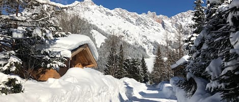 Sneeuw- en skisporten