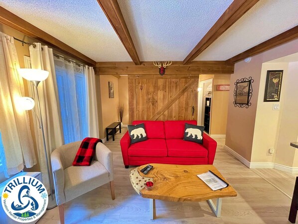 Full/Double Pull-out Couch