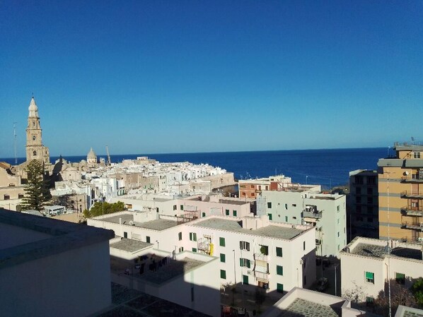 Beach/ocean view