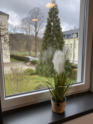 View from room