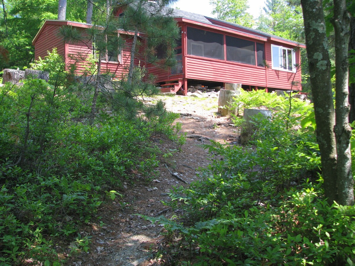 Main Image