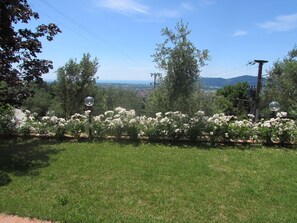Seaview from the patio
