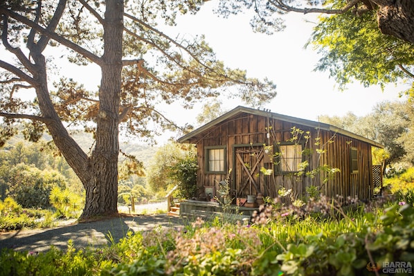 Welcome to the Olive Tree Cabin at Olive Tree Cottages. 