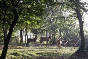 Overnatningsstedets område