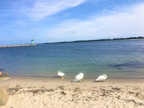 Ostsee