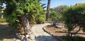 Le jardin 