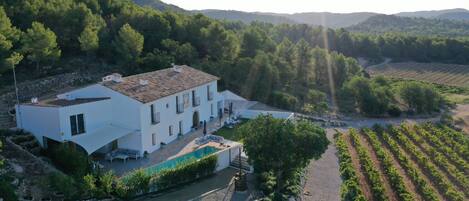 Villa and vineyards