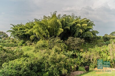 Increíble ubicación / 2 min del Parque Nacional de Coffe / Piscina al aire libre / WiFi gratis y Parkgn