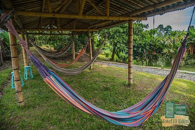 Increíble ubicación / 2 min del Parque Nacional de Coffe / Piscina al aire libre / WiFi gratis y Parkgn