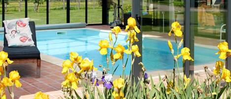 Flower, Plant, Water, Botany, Yellow, Grass, Shade, Swimming Pool, Landscape, Petal