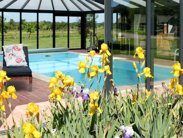 Fleur, Plante, L'Eau, Botanique, Jaune, Herbe, Ombre, Piscine, Paysage, Pétale