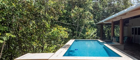 Beautiful pool/terrace in jungle-only 30 steps to beach and 6 steps to studio