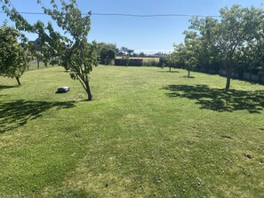 Grassland, Plain, Land Lot, Lawn, Groundcover, Garden, Pasture, Meadow, Field