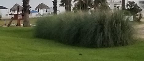 Viewing playground, beach and lake from open lawn