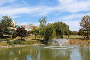 Enjoy a lovely stroll around the beautiful property.