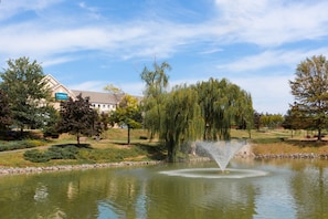 Enjoy a lovely stroll around the beautiful property.