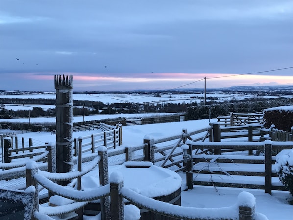 View from decking