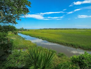 The natural beauty of Seabrook Island abounds