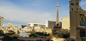 Possible view of the Bellagio fountain (view not guaranteed)