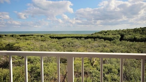 View from the Balcony off Living Room
