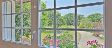 Plant, Flower, Building, Window, Property, Shade, House, Interior Design, Wood