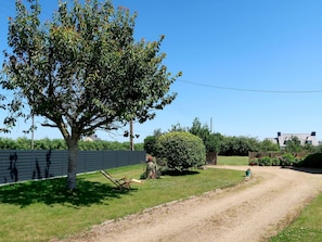 Arbre, Route, Paysage Naturel, Herbe, Lot Terre, Suppression Des Plantes Ligneuses, Plante, Zone Rurale, Printemps, Feuille