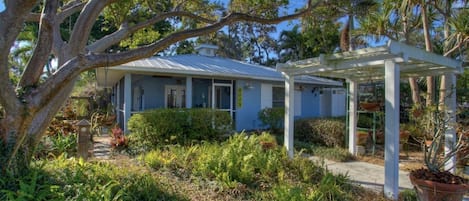 Front yard gumbo limbo tree