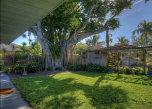 Orchid trellis in backyard 