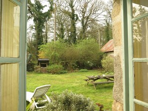 Plant, Furniture, Botany, Tree, Leaf, Window, Shade, Chair, Wood, Land Lot