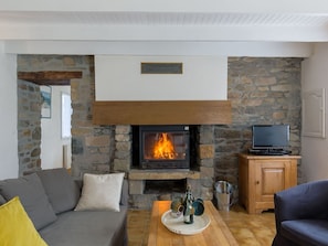 Furniture, Property, Couch, Comfort, Wood, Orange, Hearth, Living Room, Floor, Flooring