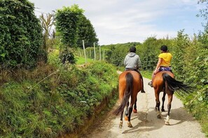 Surroundings [summer] (1-5 km)