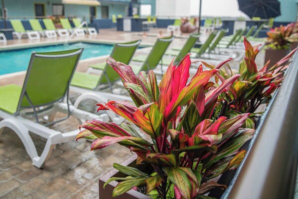 Hang out on the pool deck