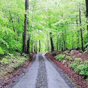 Road to property, extremely private location.
