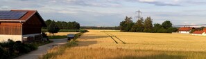 Terrain de l’hébergement 