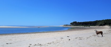 arrière plage du Veillon