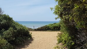 Accès à la mer par la pinède