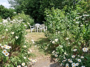 Flower, Plant, Garden, Shrub, Botany, Flowering Plant, Rose, Rose Family, Plant Community, Grass
