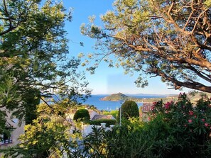 Vue de la terrasse