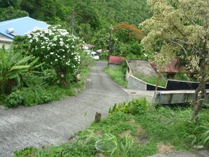 施設の敷地