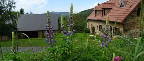 Jardines del alojamiento